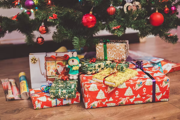 Venez vous offrir des cadeaux de noel devant notre photographe pour des souvenirs intemporels