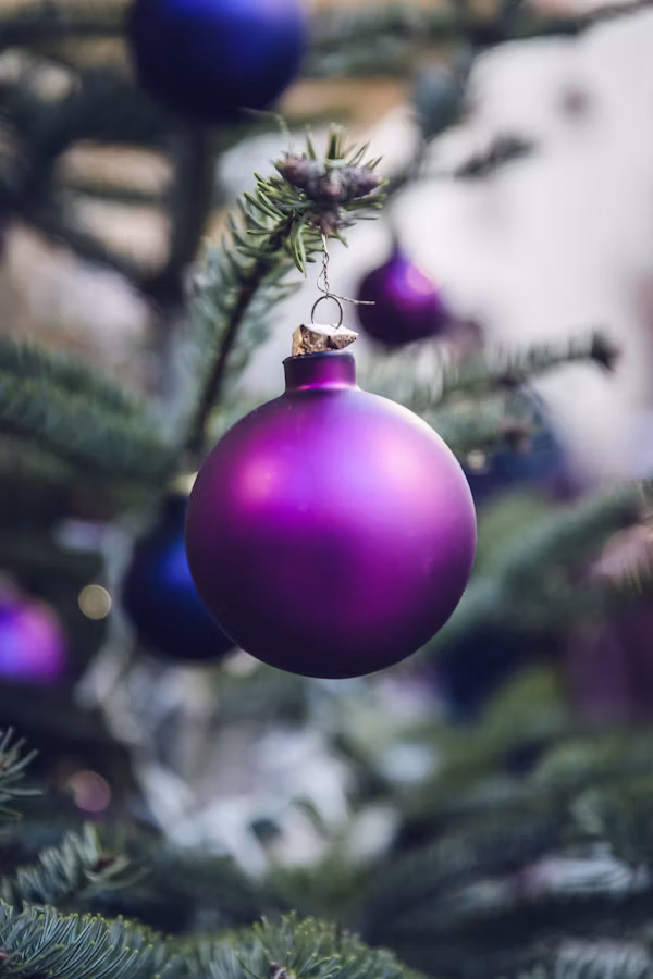 Venez découvrir les décorations de noel de notre studio en Moselle Lorraine